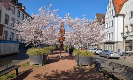 Blütenpracht in Kaiserswerth