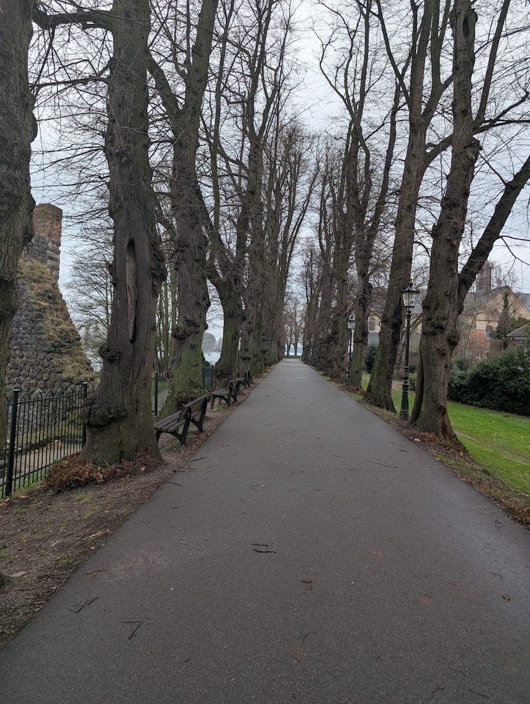 Wohin mit dem Müll?