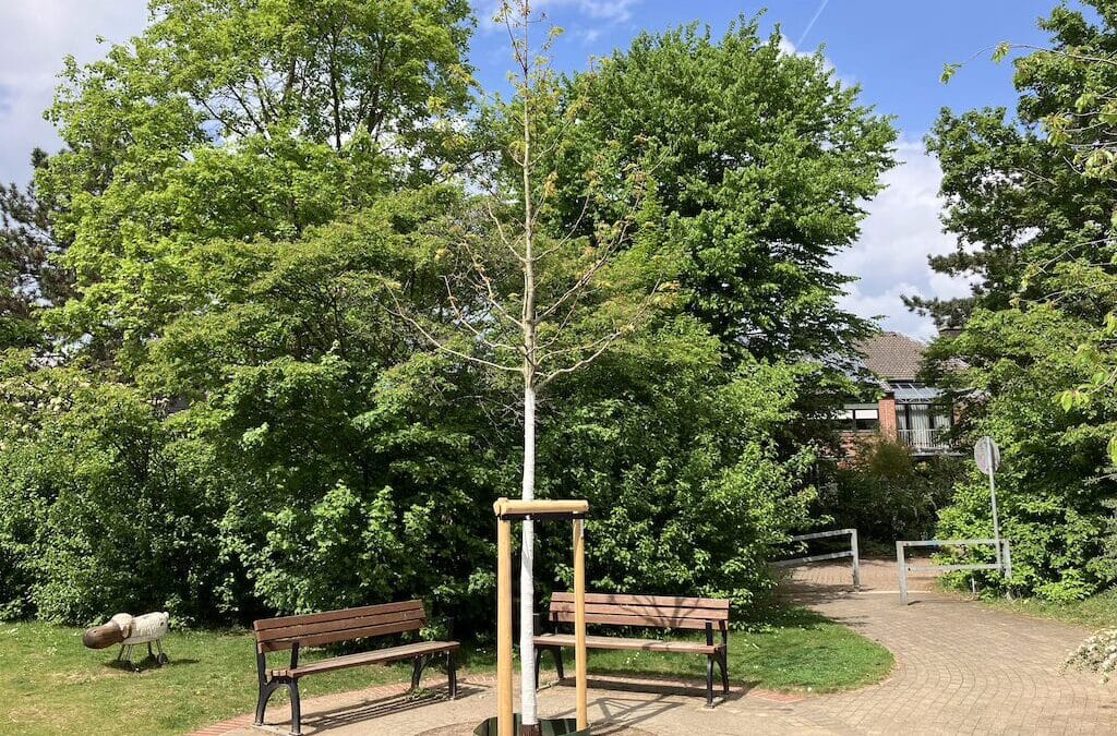 Zum Tag des Baumes: Landeshauptstadt Düsseldorf pflanzt Rot-Eiche am Kinderspielplatz in der Elsa-Brändström-Straße