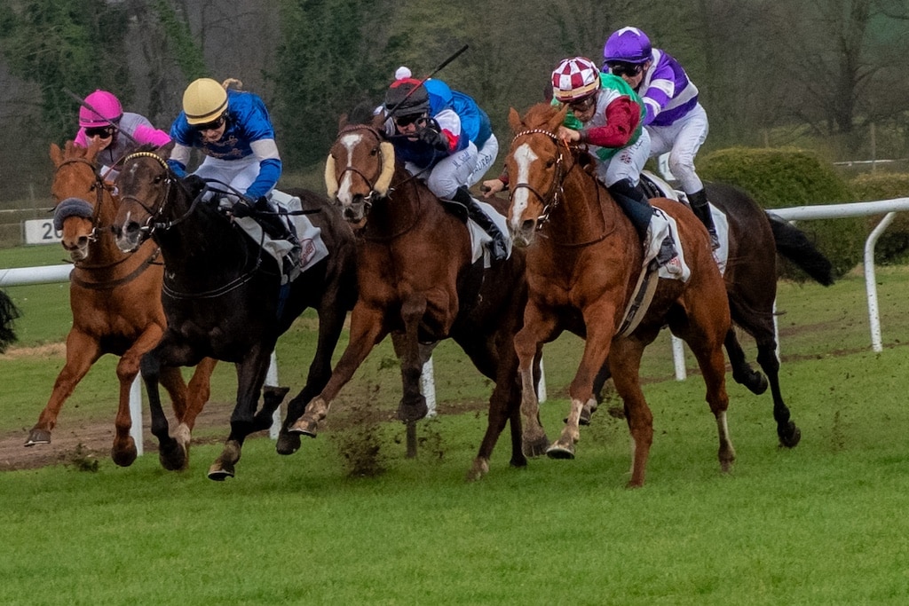 Erster Düsseldorf International Raceday: Galopprennbahn wird zum Schaufenster der Kulturen und des Spitzensports