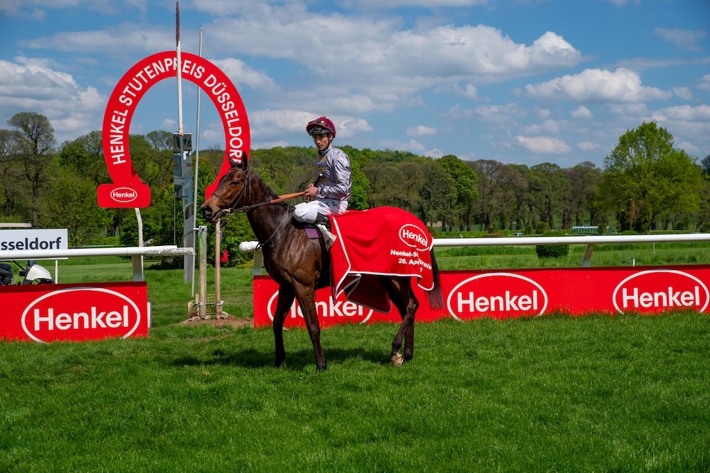 Die französische Gaststute D´Ores Et Deja hat am Samstag auf der GalopprennbahnGrafenberg mit Jockey René Piechulek © LB / Olaf Oidtmann