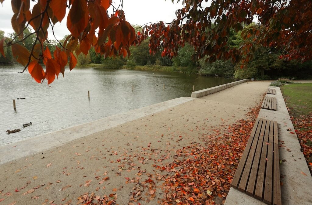 Tag gegen den Lärm unter dem Motto “Ruhe rockt” am 30. April 2025