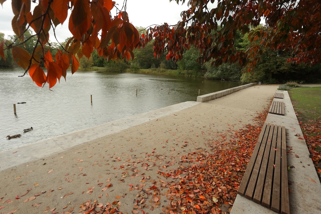 Ein wichtiger Baustein im Kampf gegen Lärm ist die Ausweisung und der Schutz ruhiger Gebiete. Diese "stillen Oasen" – etwa Parks, Grünflächen oder naturnahe Zonen wie der Zoopark bieten Rückzugsorte, die das seelische und körperliche Wohlbefinden fördern. © Landeshauptstadt Düsseldorf/David Young