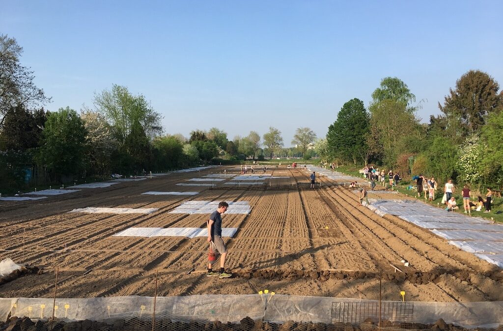 Mikroabenteuer vor der Haustür: Mietgartensaison in Düsseldorf eröffnet
