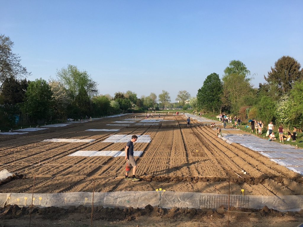 Mietgartensaison © meine ernte