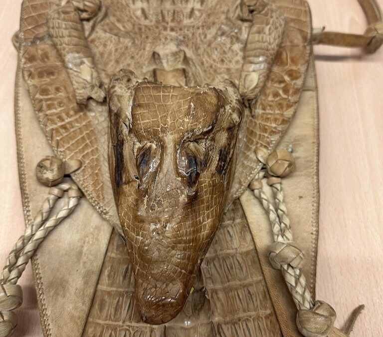 Zoll am Flughafen Düsseldorf beschlagnahmt Krokodilhandtasche – Kurioses Souvenir stammt von streng geschützter Tierart