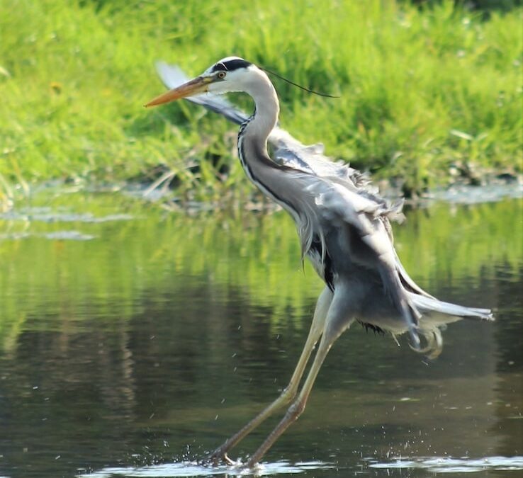 Europäischer Fotowettbewerb auf der Zielgeraden
