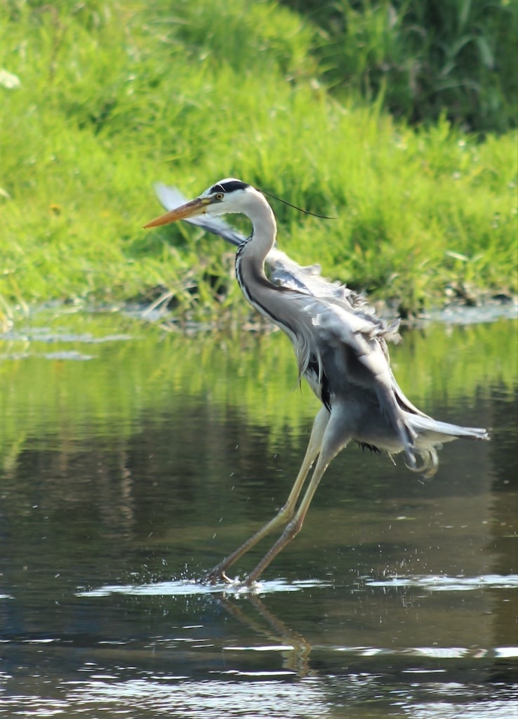 Ein Siegerfoto von Teil 1 des Wettbewerbs im Jahr 2021 Eines der zehn Siegerfotos von Teil 1 des Wettbewerbs im Jahr 2021. © Stefan Kaufmann