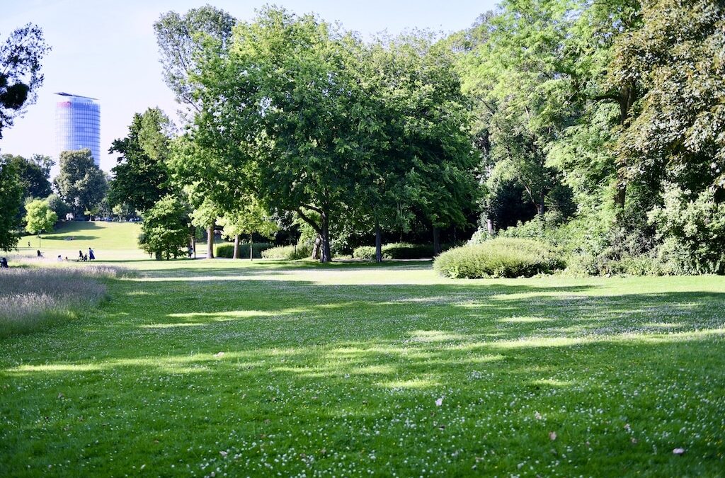 “Unterwegs im Grünen”: Im Juli bietet die Stadt Führungen an