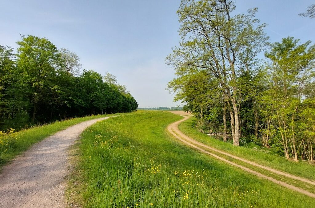 Der 1. Juli ist der „Lern was über Trauer-Tag“