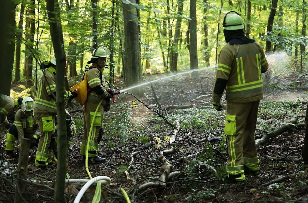 Feuerwehr Düsseldorf stellt Wald- und Flurbrandbekämpfung in den Fokus