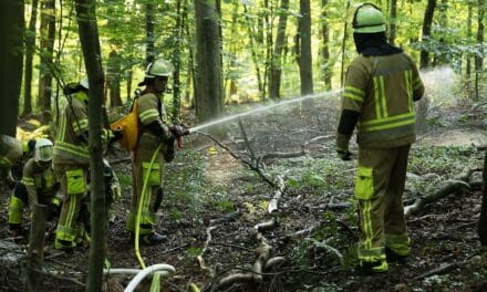 Düsseldorfer Feuerwehrleute weiter im Kampf gegen Waldbrände in Serbien