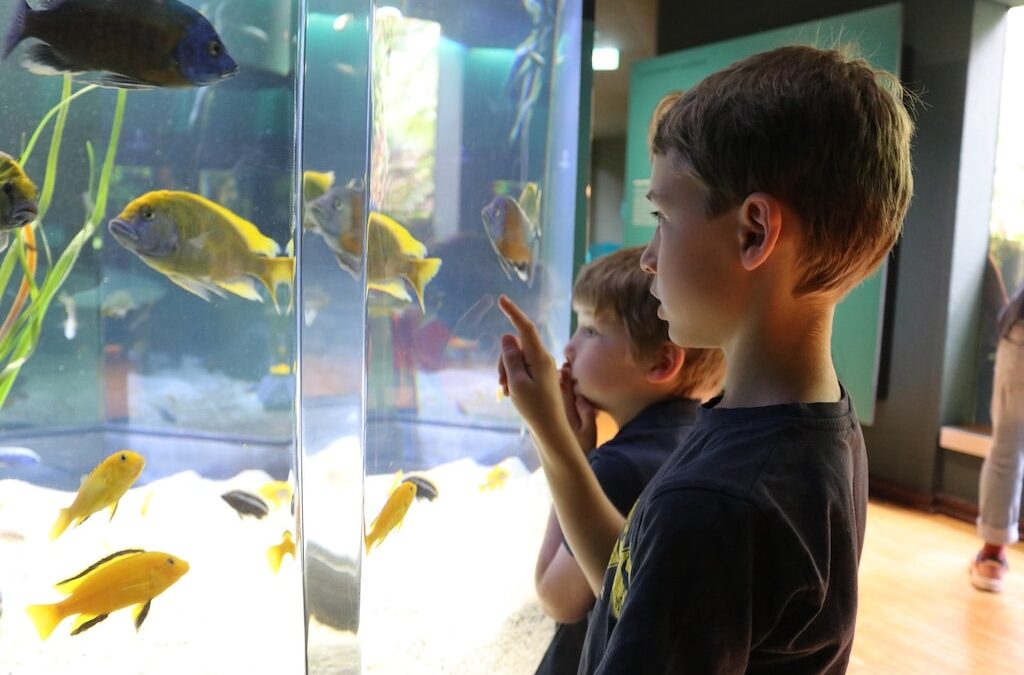 Aquazoo Kids-Club: Natur erleben, Tiere entdecken, Forschergeist wecken