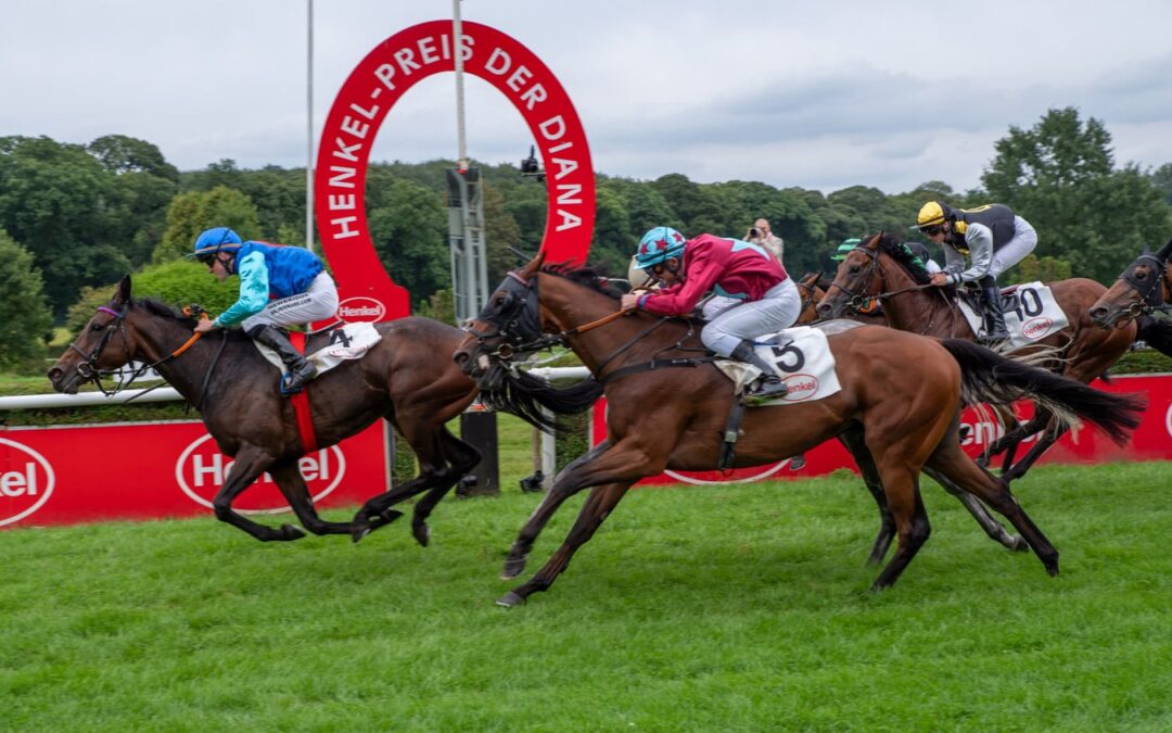 Internationale Klasse für Düsseldorf: Royal-Ascot-Siegerin „Garden Of Eden“ nachgenannt für den 167. Henkel-Preis der Diana