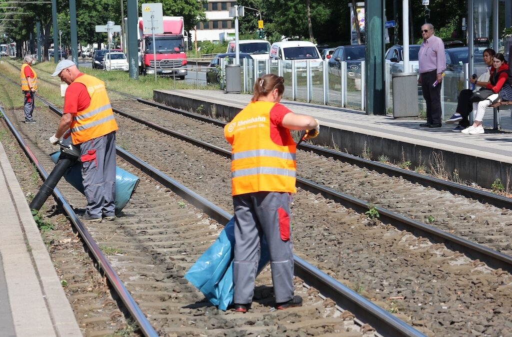 Rheinbahn sorgt für gepflegte Haltestellen – täglicher Einsatz gegen Schmutz und Vandalismus