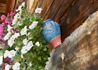 Filzmoos © Lokalbüro