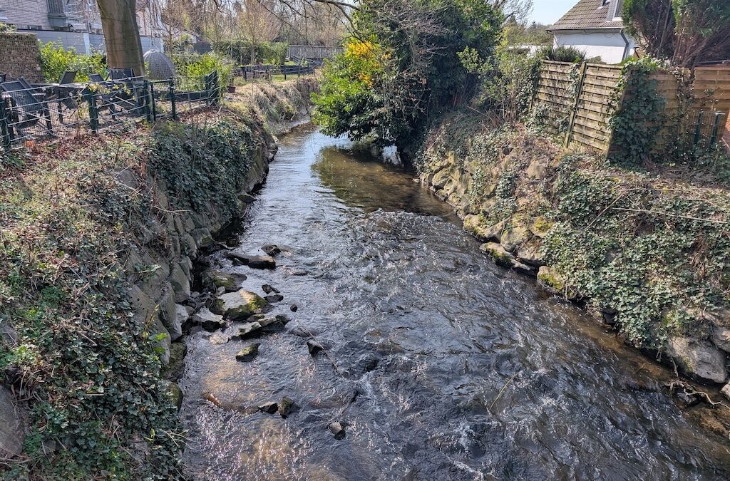 Streitschlichter für den Stadtnorden gesucht