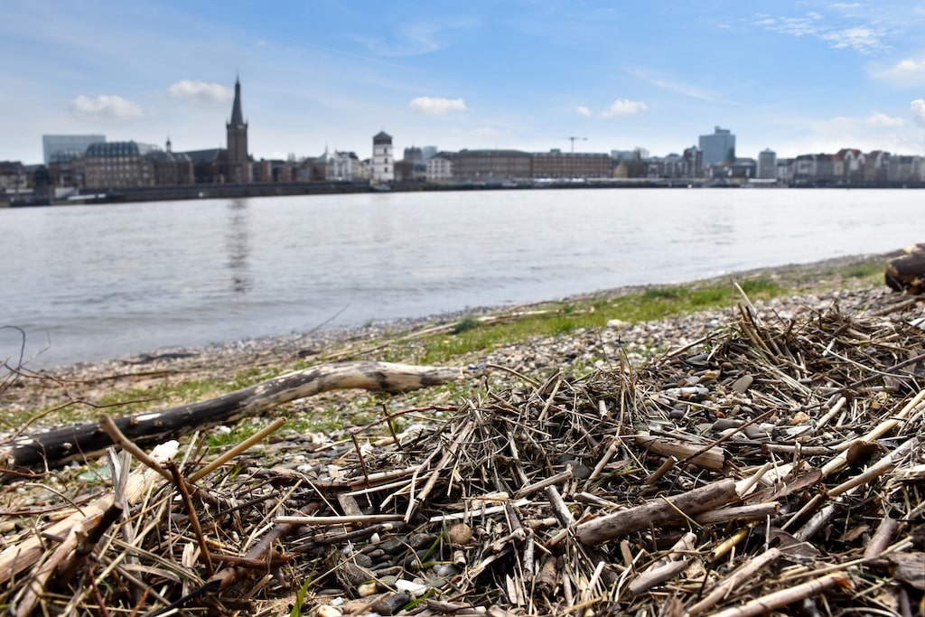 Das SchifffahrtMuseum bietet in den Herbstferien 2025 einen kostenfreien Kunstworkshop unter dem Motto "Treibgut – Vielfalt, Kunst und Nachhaltigkeit" für Kinder und Jugendliche ab zwölf Jahren an. © Landeshauptstadt Düsseldorf/SchifffahrtMuseum