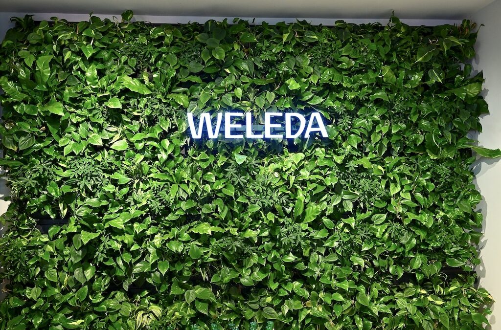 Body, Soul & Mind: Ganzheitliches Wellness-Erlebnis – Weleda Flagship Longevity Spa eröffnet in Düsseldorf