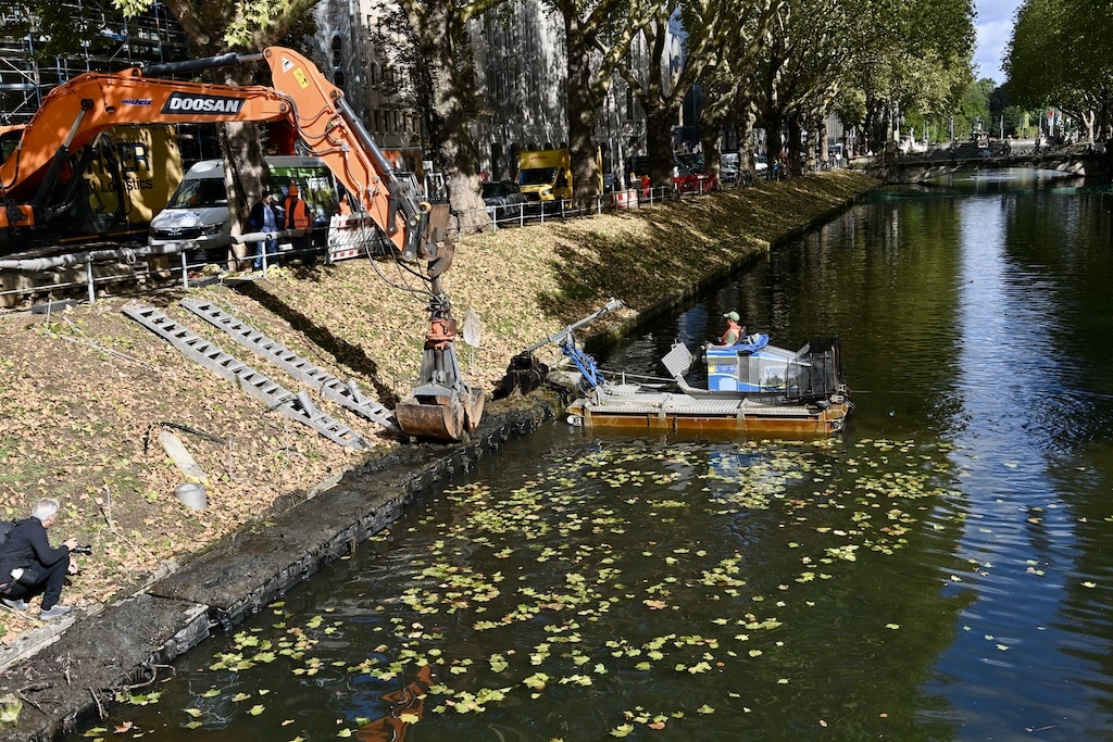 Amphibienfahrzeug entfernt Algen, Laub und Äste © Lokalbüro