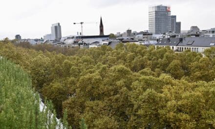 „Unterwegs im Grünen“: Städtische Führungen im&nbsp;März