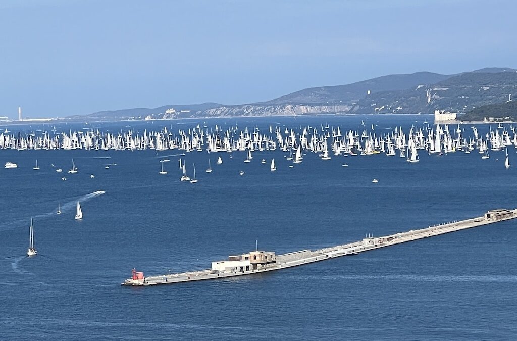 Wir sind zurück! Vier spannende Tage in Triest liegen hinter uns