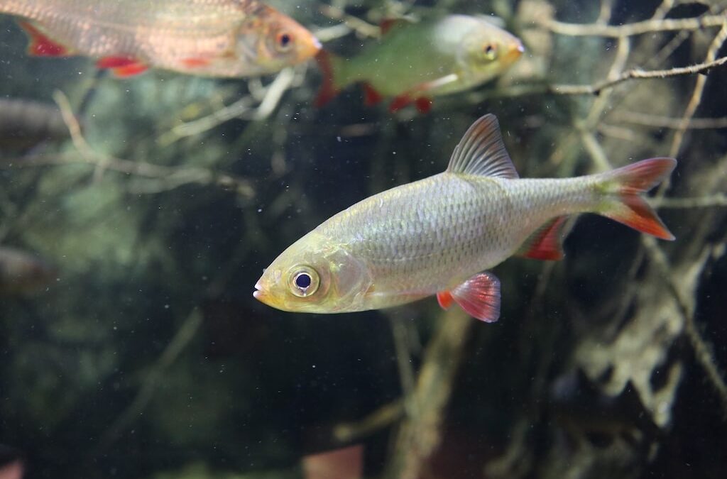 Tierische Ferienaktionen im Aquazoo Löbbecke Museum