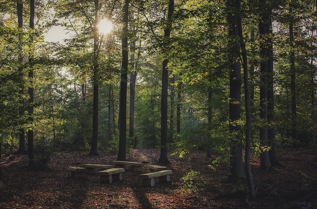 Wie persönliche Vorsorge geht