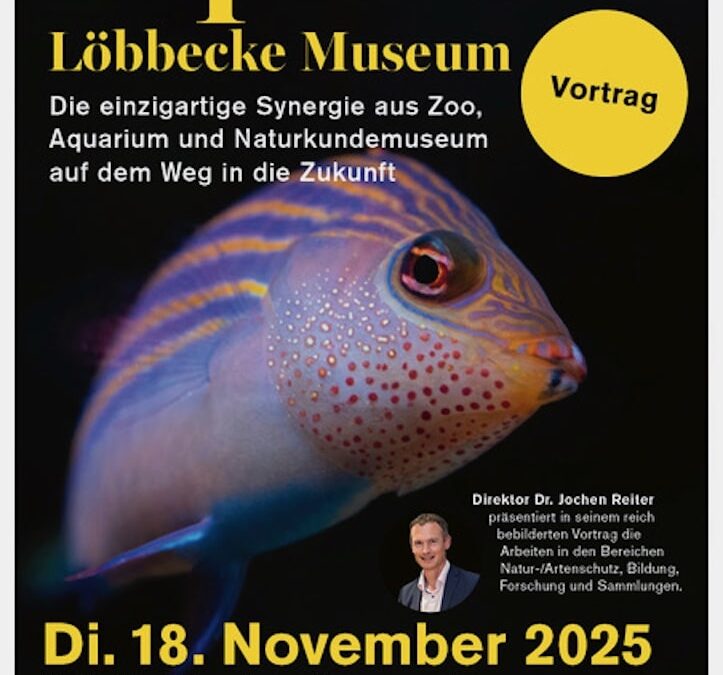 Was den Aquazoo so besonders macht