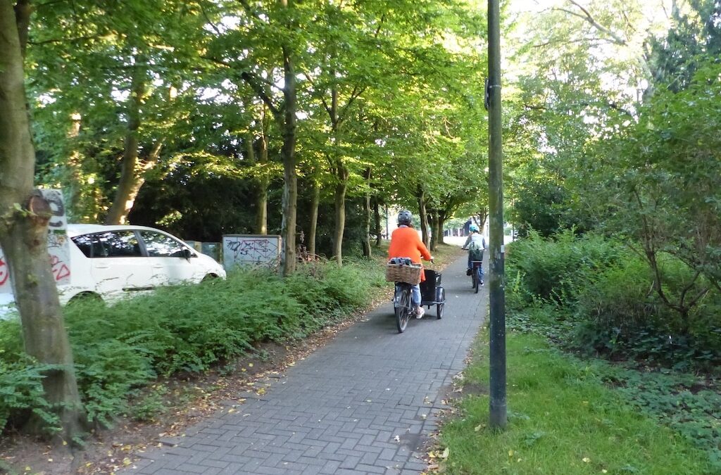 Moritz-Sommer-Straße: Geh- und Radweg wird ausgebaut