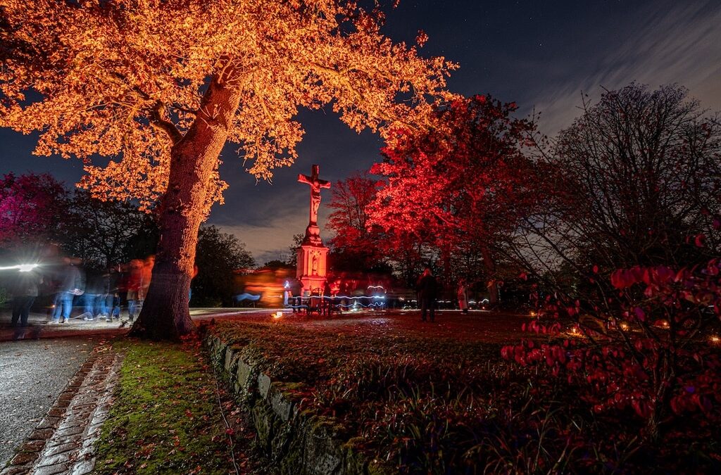 Farben des Gedenkens – Der Nordfriedhof Düsseldorf erstrahlt zu Allerheiligen