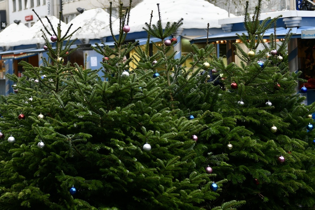 Symbolbild im Stadtgebiet © Lokalbüro