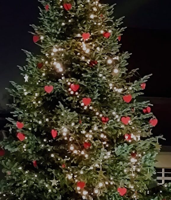 Der Tannenbaum leuchtet in Angermund
