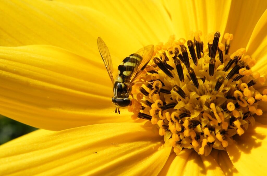 Workshop im Aquazoo Löbbecke Museum: “Forschungsobjekt Insekt”