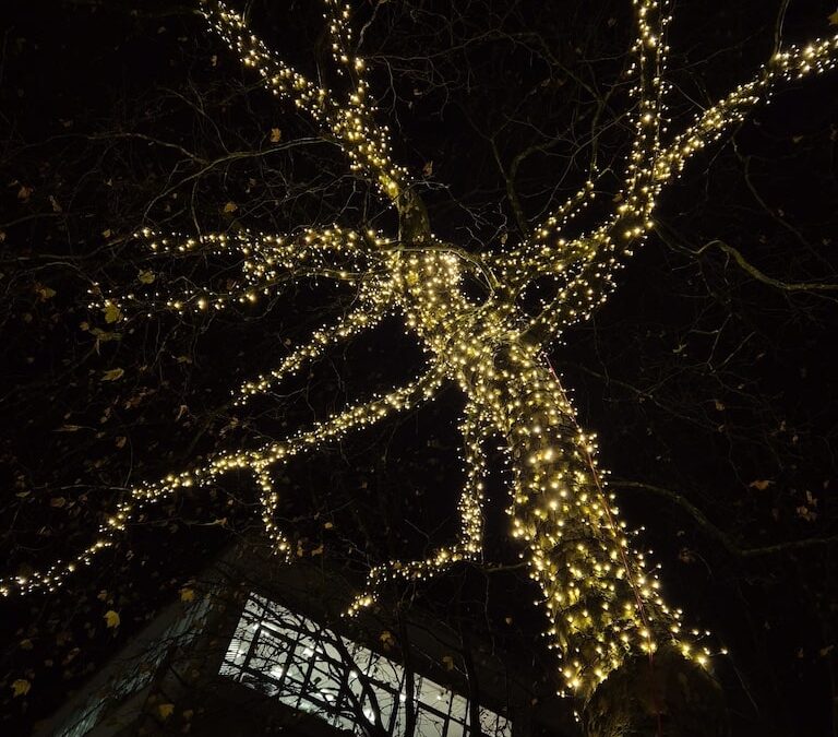 Garath leuchtet weiter: Platane auf dem Brentano-Platz illuminiert