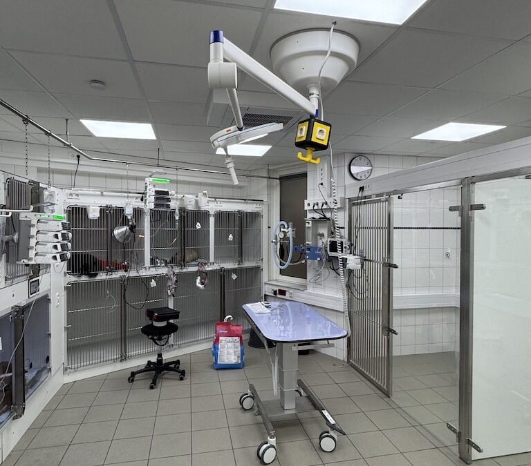 Tierklinik Düsseldorf baut Intensivstation aus – eine der größten in Deutschland