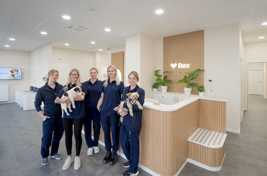 Haustierboom in Düsseldorf: Neue Praxis will Tierärzte entlasten