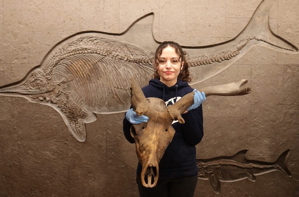 Aquazoo lässt “Arbeitskreis Geowissenschaften” wieder aufleben