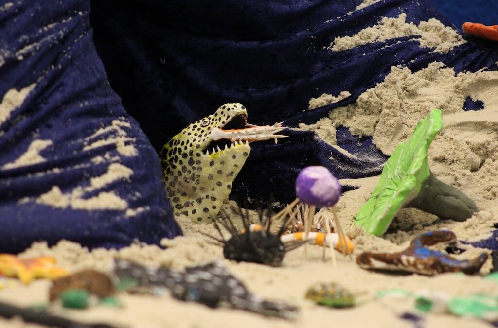 “Ein Paradies voller Farben – Korallenriffe”: Aquazoo auf der boot&nbsp;2026