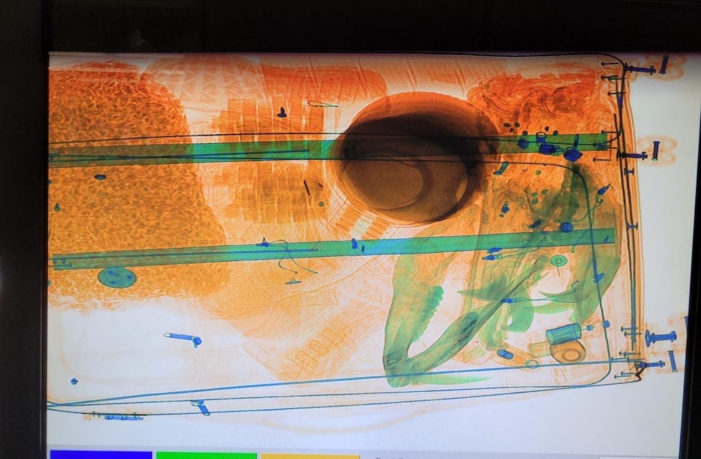 Zoll am Flughafen Düsseldorf hat Schwein gehabt