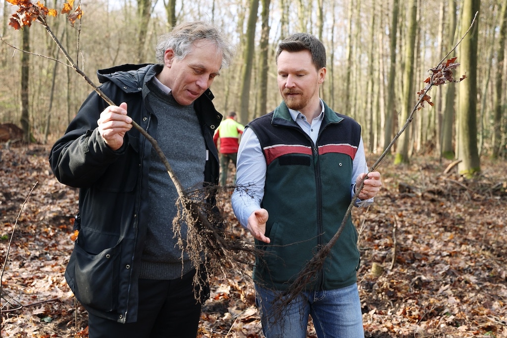 (v. l.) Umweltdezernent Jochen Kral und Marius Erley, Abteilungsleiter Forst, beim Abschluss der Baum-Pflanzsaison 2026 im Düsseldorfer Stadtwald. © Landeshauptstadt Düsseldorf/David Young