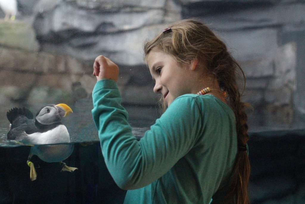 Auch in den Sommerferien lädt das Aquazoo Löbbecke Museum, Kaiserswerther Straße 380, Kinder und Familien zu spannenden Entdeckungstouren durch die Welt der Tiere, Pflanzen und Naturwissenschaften ein. © Aquazoo Löbbecke Museum