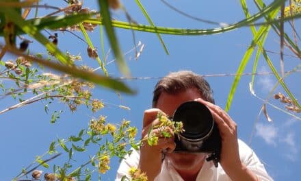 Aquazoo ruft zu Fotowettbewerb über Feuchtgebiete auf