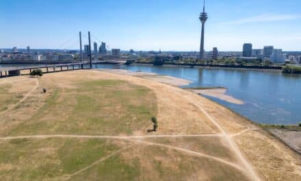 Rheinpegel in Düsseldorf steigt wieder – Erholung nach der Trockenheit