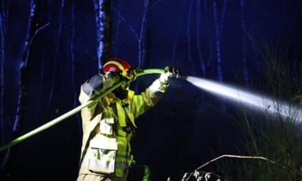 Waldbrände im Kreis Düren: Düsseldorfer Feuerwehr leistet überörtliche Hilfe