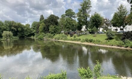 Ostparkweiher wird ökologisch aufgewertet: Entschlammung startet im Herbst